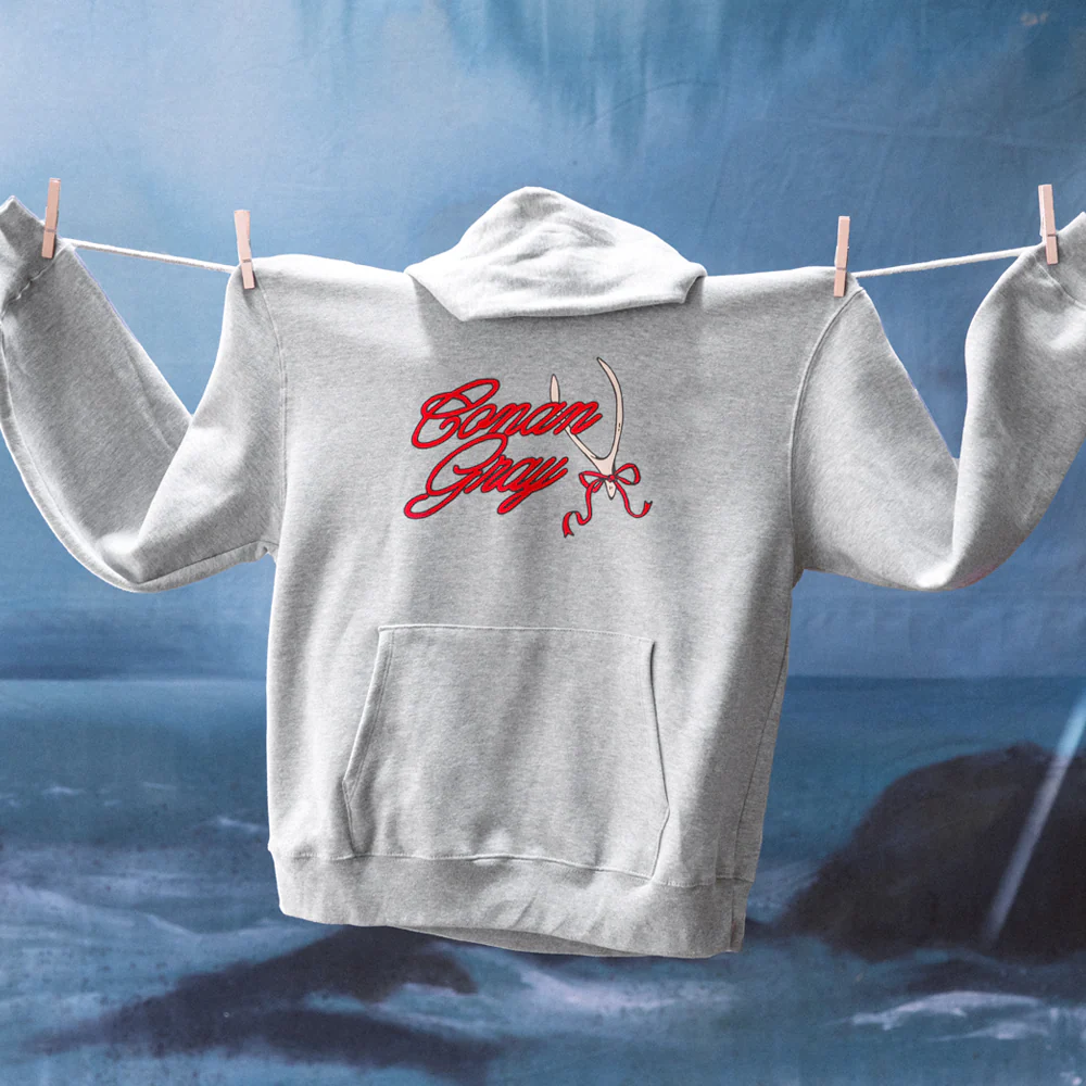 Conan Gray Ribbon Wishbone Hoodie - Image 3